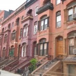 alexanderave