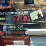 P1060881