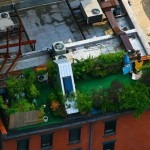 roof_001